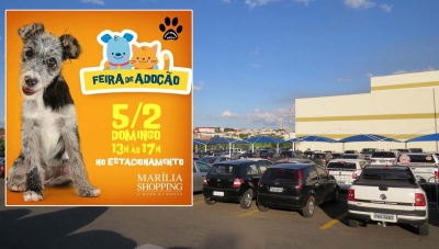 ONG promove feira de Adoção no Marília Shopping