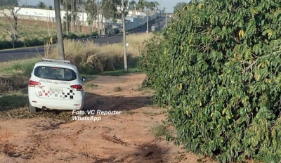Mulher é encontrada morta e nua em cafezal 