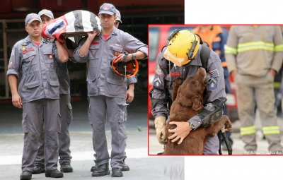Bombeiros prestam últimas homenagens à cadela Milka