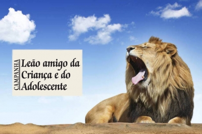 Saiba como usar seu IR para ajudar entidades