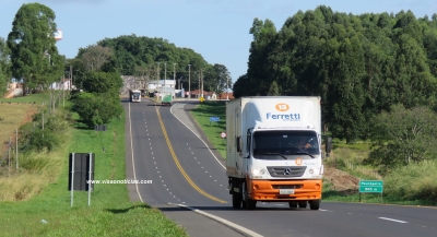 Entrevias faz campanha para evitar animais nas rodovias