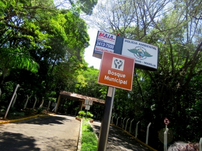 Sem aglomerações: Bosque Municipal de Marília fechará nos fins de semana e feriados