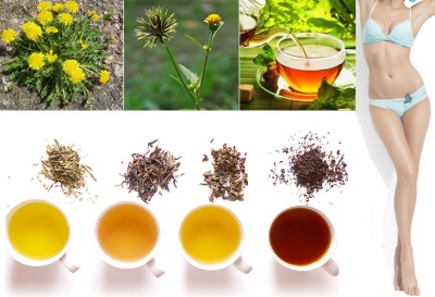 Os melhores chás para emagrecer