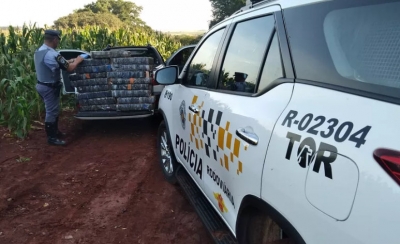 Após perseguição policial homem é preso com mais de 300 tabletes de maconha em rodovia