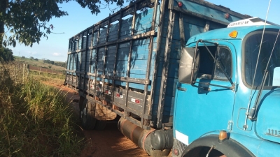 Trio é preso pela PM acusado de furtar gado na região