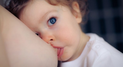 Impedir mãe de amamentar na rua dará multa