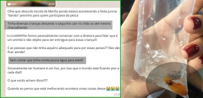 Más condições de peixinhos distribuídos em festa junina causam polêmica