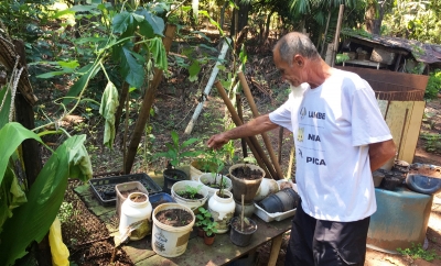 Guardião da floresta: produtor agroecológico quer proteção para as nascentes e cachoeiras