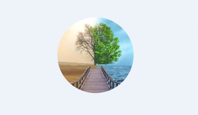 Meio ambiente: a importância da conscientização