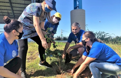 Rotarianos de Marília participam de plantio de mudas em escola