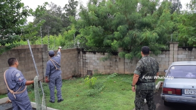 Bombeiros e Polícia Ambiental 