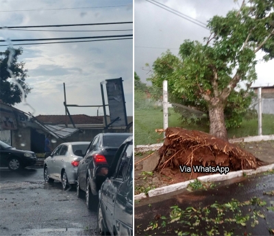 Rápido temporal causa estragos em Marília e região