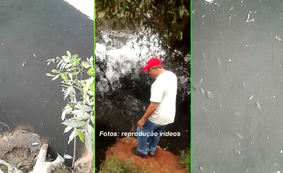 Morte de peixes causa revolta de pescadores e donos de áreas em Marília