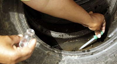 Dengue: Pompeia tem baixo índice de infestação do mosquito Aedes