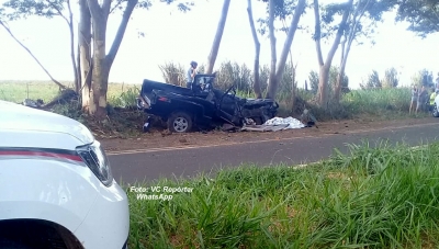 Rapaz morre ao bater contra árvore na estrada de Avencas, em Marília