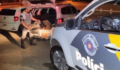 Polícia Rodoviária apreende carregamento de skunk em rodovia da região