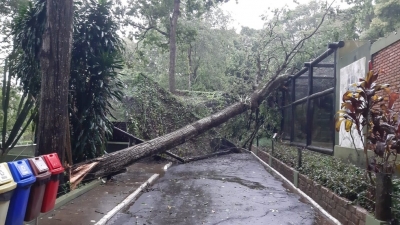 Chuva forte transforma avenida de Bauru em rio e causa queda de árvores