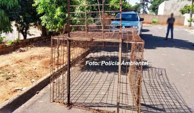 Polícia Ambiental surpreende caçadores com armadilha