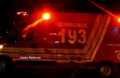 Tatu e gato provocam acidentes com motos em Marília