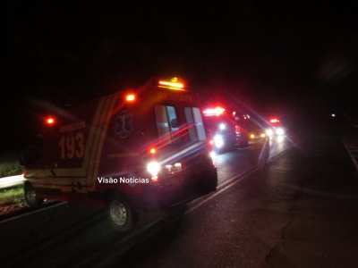 Carro atropela cavalo na SP-294