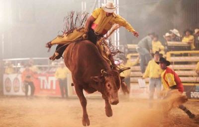 Volta dos rodeios em Marília: Vereador quer protetores dos animais em alerta