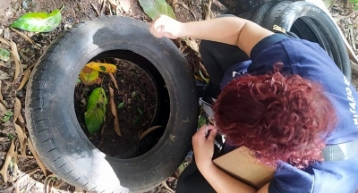 Combate ao mosquito que transmite a dengue terá nova ação neste sábado em Marília