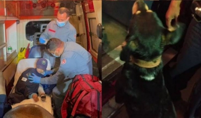 Criança de 2 anos desaparece e é encontrada 4 horas depois graças a cachorro de estimação