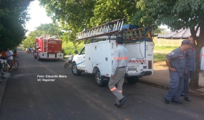 Ave é salva após mobilizar Bombeiros e CPFL