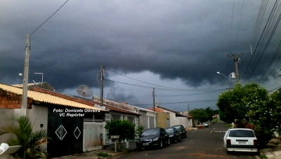 Temporal causa quedas de árvores e acidente em Marília