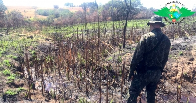 Queimada: produtor rural de Garça é multado em quase R$ 600 mil 