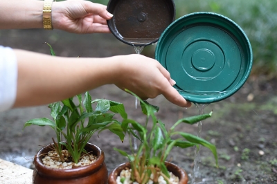 Marília tem baixo índice de dengue, mas Saúde alerta para risco de novos casos