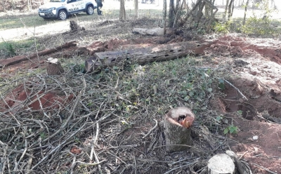 Polícia Ambiental comemora semana do Meio Ambiente com operações