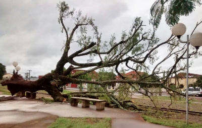 Semana deve ser com chuva em Marília