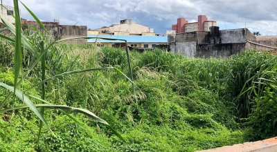 Prefeitura de Marília notifica donos de terrenos para capinação e limpeza