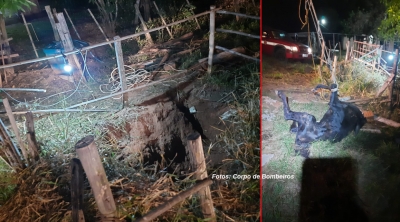 Bombeiros resgatam vaca que caiu em poço de oito metros