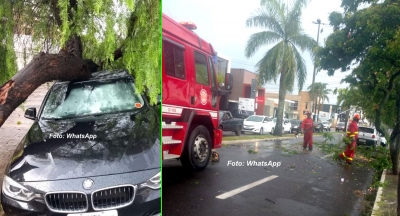 Temporal causa estragos em Marília e mobiliza Bombeiros