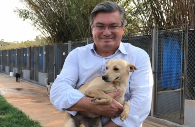 Prefeitura segue com feiras de adoção de animais aos domingos na feira livre