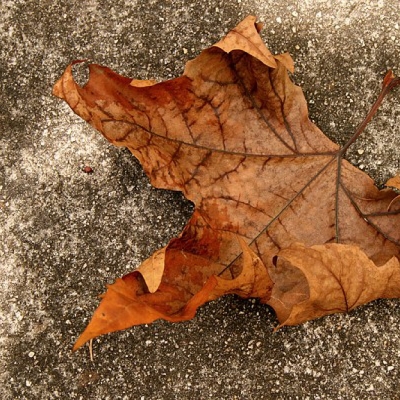 CORONAVÍRUS: Saiba como identificar e se proteger dessa doença