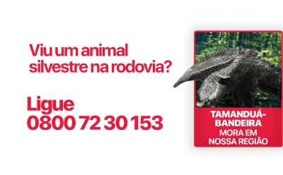 Triunfo lança campanha de preservação da fauna silvestre