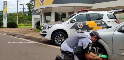 Casal é preso com mais de 30 quilos de drogas, na região