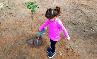 Prefeitura de Marília avança com plantios através da Gestão Participativa 