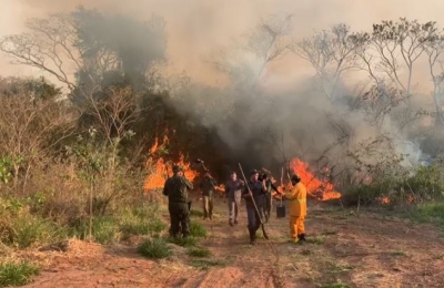 Equipe do Corpo de Bombeiros de Marília ajuda no combate a incêndio na Estação Ecológica de Bauru