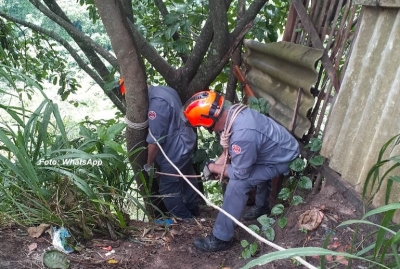 A procura de cãozinho, grupo precisa ser resgatado pelos Bombeiros em Marília