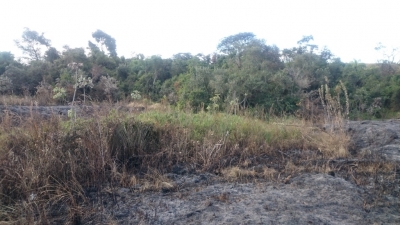 Usina é multada pela Polícia Ambiental em quase R$ 1 milhão por queimada, na região