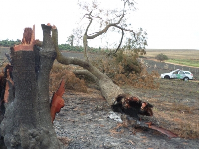 Polícia Ambiental registra ocorrências pela região