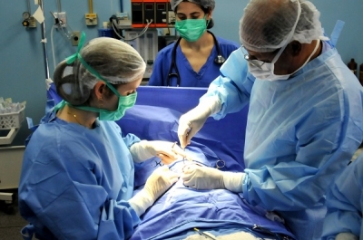 Devido a pandemia, número de doadores de órgãos cai no Brasil