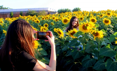Unimar manterá visitação à Fazenda aos sábados