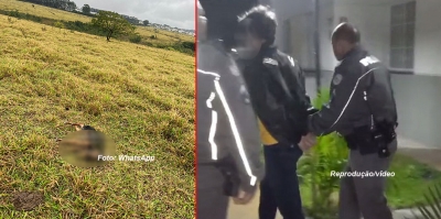 ONG vai pedir a prisão preventiva de homem que matou cãozinho em Marília