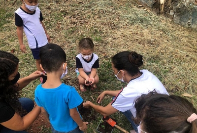 Projeto Sementinhas: alunos de EMEI fazem plantio de ipês amarelo em Marília