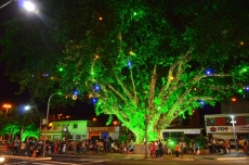 Festividades natalinas          em Marília